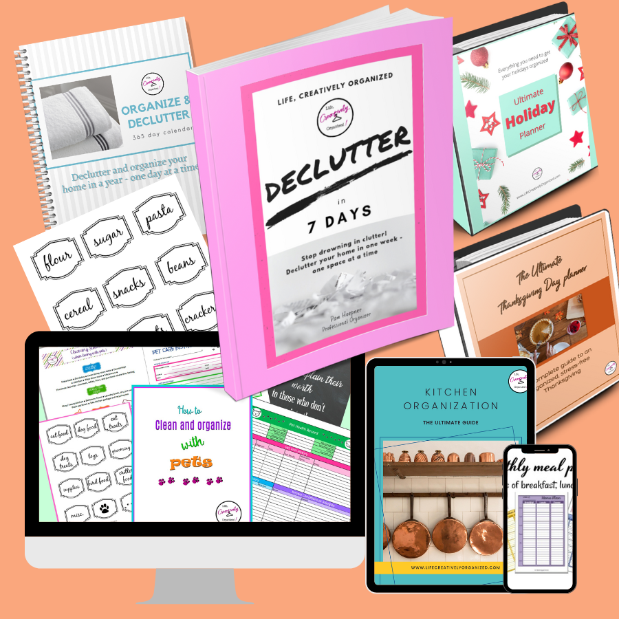 Economical Organizer virtual products